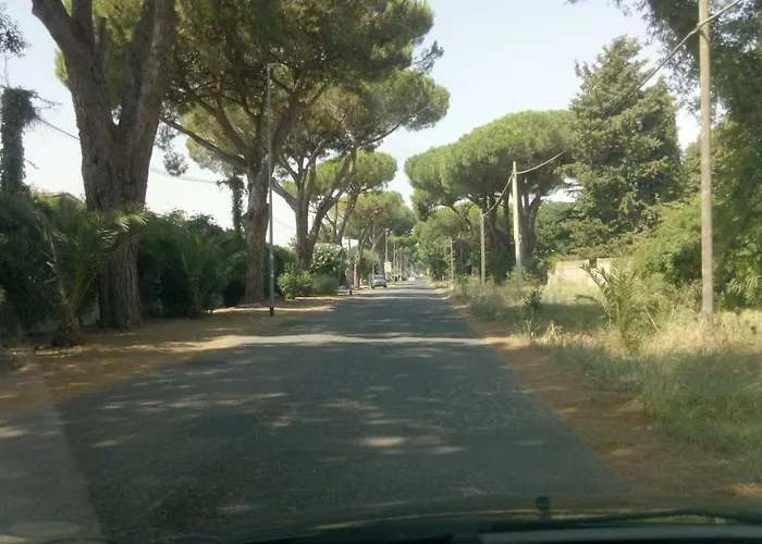 Camera Matrimoniale In Eur Pensjonat